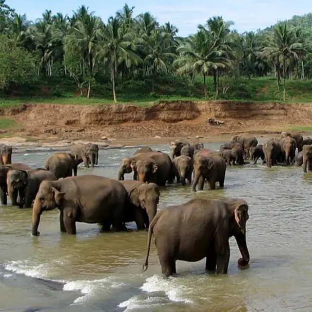 Grand Traverse Sri Lanka - Airport Transfers & Taxi Service