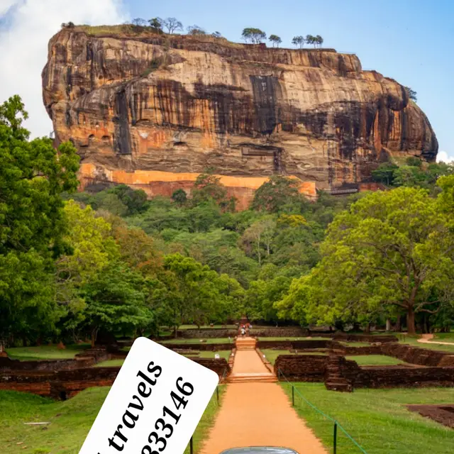 M.M.D. Travels