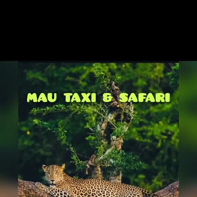 MAU Taxi & Safari