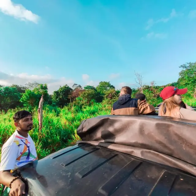 Minneriya Jeep Safari & Tours