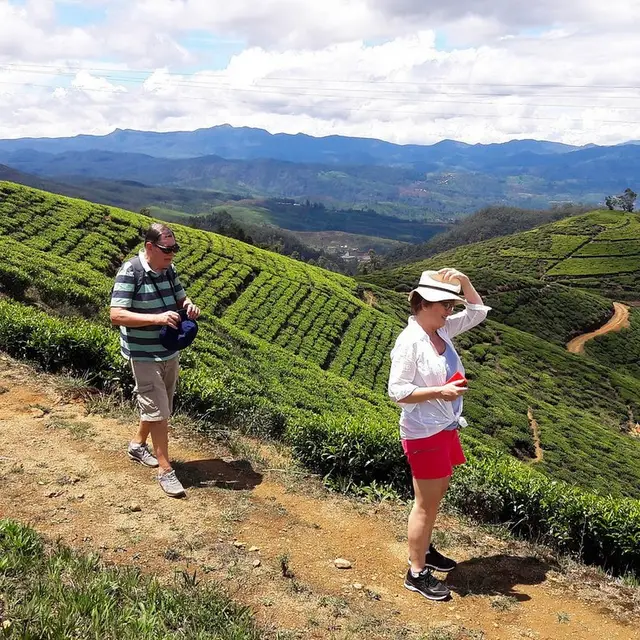 Nuwara Eliya Roots