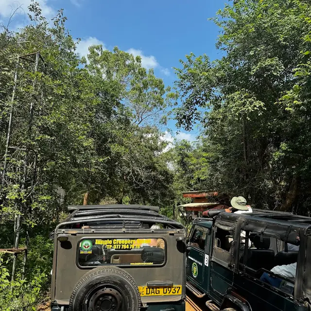 Praneeth Taxi Service & Jeep Safari