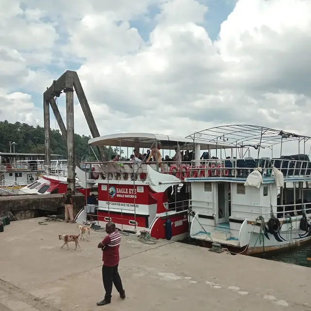 Saliya tours