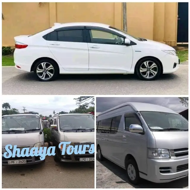 Shaaya Tours,Русскоговорящии гид, лучше экскурсии в Хиккадуве