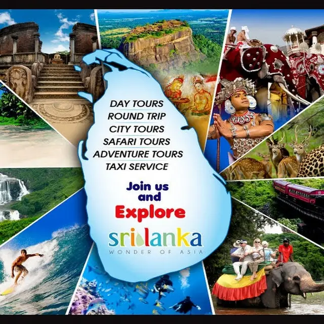 Shabo Tours