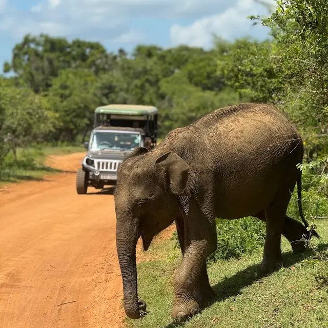 Sri Lanka Private Driver