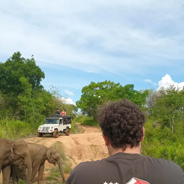 Sri Lankan Drivers and Guides