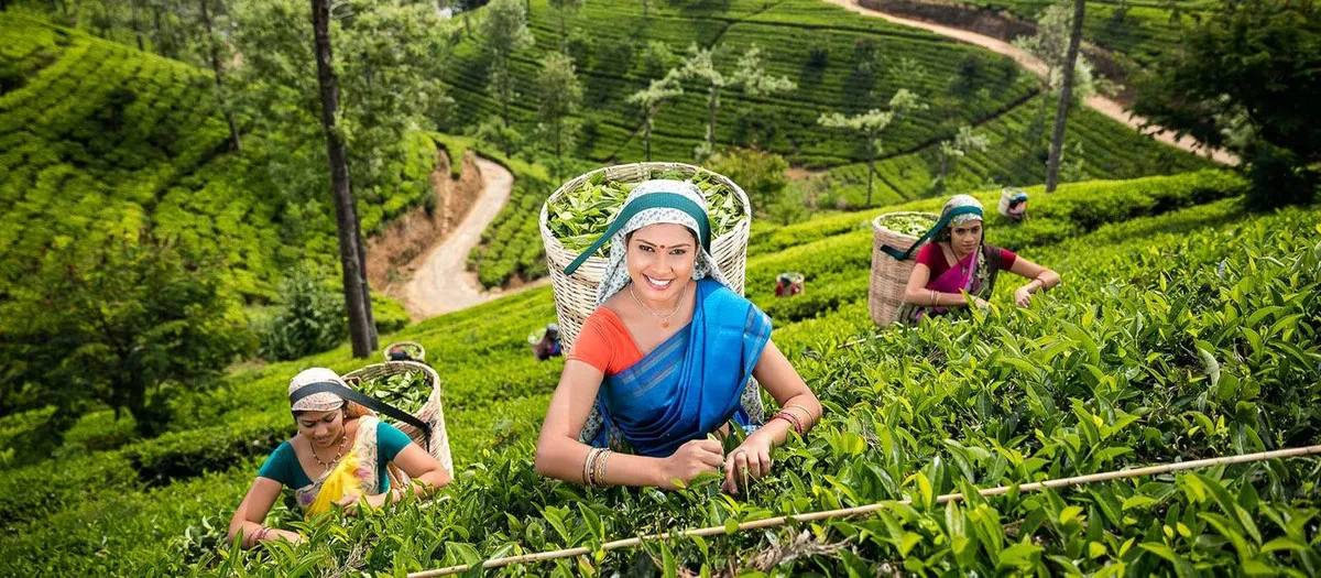MySL Travel, photo from the agency's website
