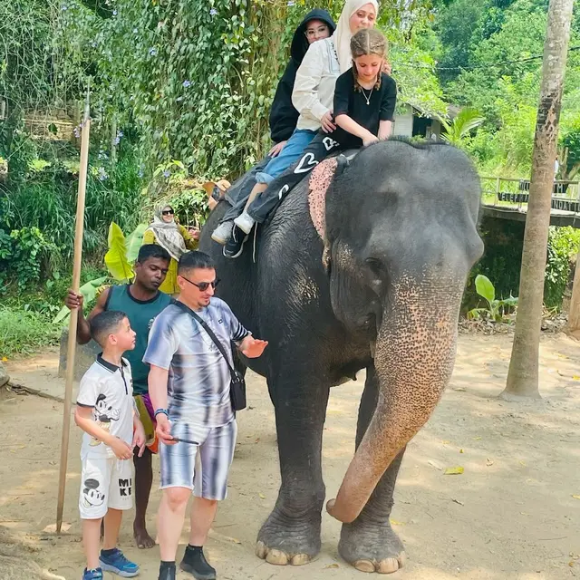TruLanka Travel - No.1 Tour Guide Sri Lanka