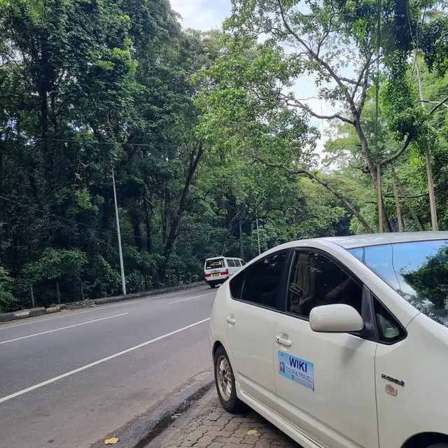Wiki Taxi (Tours & Travels)