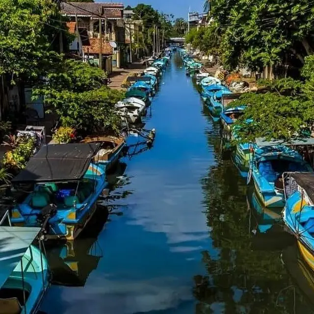 WOW PARADISE TOURS